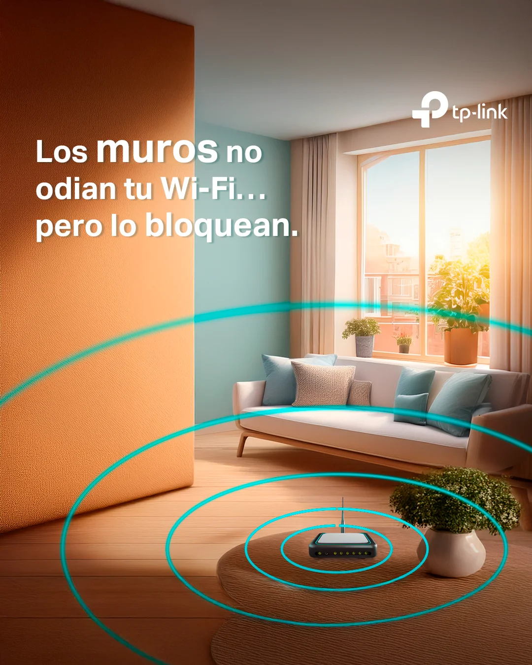TP-Link Instagram