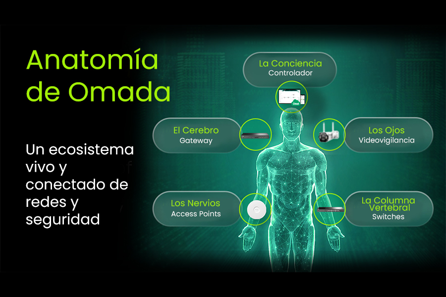 Anatomia de Omada