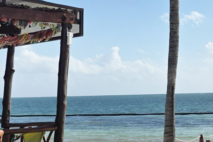 Omada By TP-Link - Margaritaville